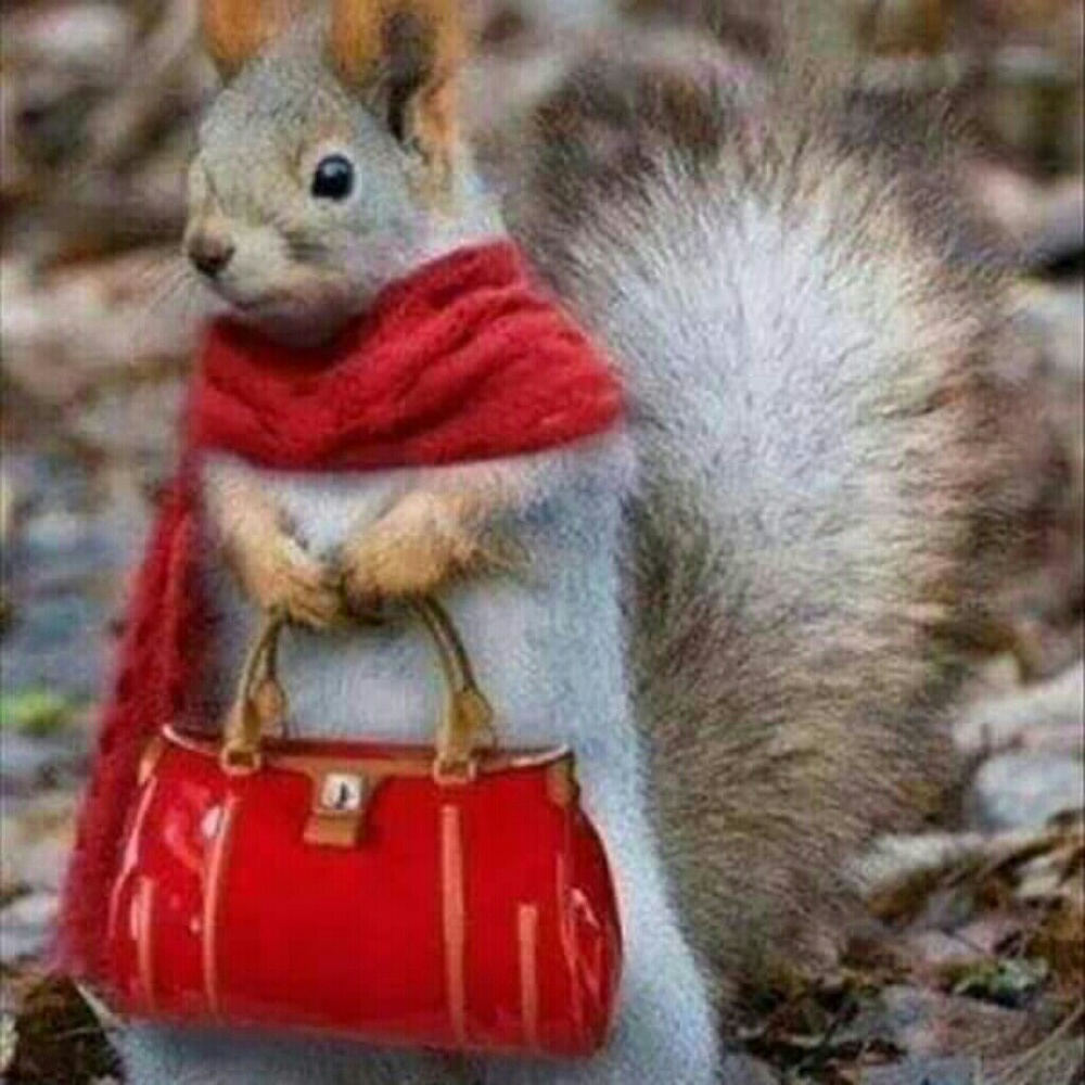 I'm a lil Squirrelly!!